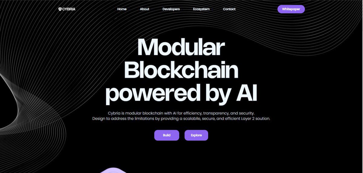 cybriacoin's tweet image. $CYBA V2 is almost ready on our website 🔥🔥Also all updates are about to be completed👍

#cyba #cybria #cybascan #layer2 #mainnet