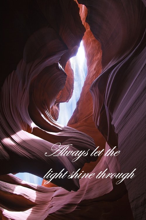 Dolphini tweet media