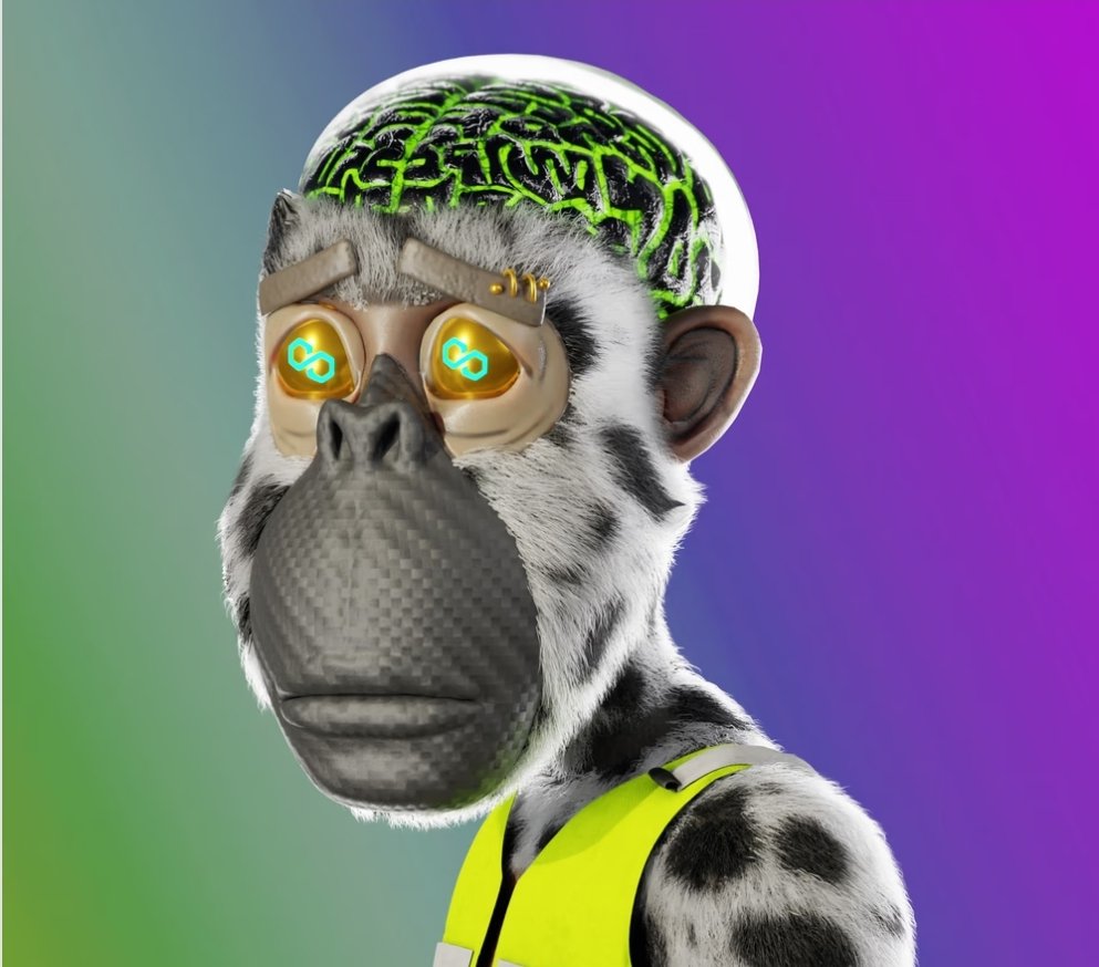You know it makes sense <a href="/BDMPOLY_/">BRAINDEAD MONKEYS 🟪</a> <a href="/BDMNFT_/">BRAINDEAD MONKEYS NFT</a>  #NFTs #polgon #crofam #NFTGiveaway #NFTCommunity  check out this beaut minting on <a href="/moonflowdefi/">Moon Flow Defi</a>