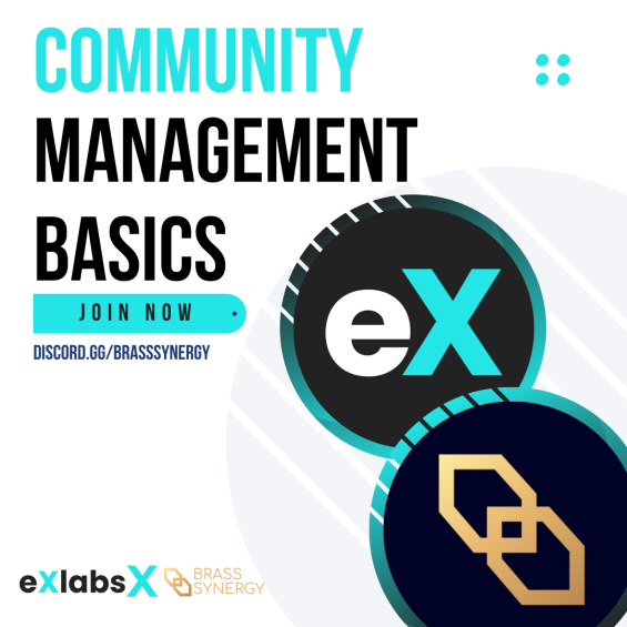 🚀 Dive into community building with our Basics Training! 🎉

Hosted by @Excellerate with Brass Synergy, your gateway to mastering community engagement.

🔗 Join us now on Discord: hubs.la/Q02kRJSQ0

#CommunityManagement #Exlabs #BrassSynergy #DiscordCommunity