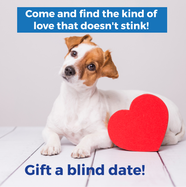 capespca's tweet image. ❤️ Are you running out of ideas for a last-minute Valentine’s gift?

🐾 Come and find the kind of love that doesn’t stink! Gift a blind date today 👇🏻
pulse.ly/ffdvjiofsa

#ValentinesGift #LoveAnimals #LovePets #AdoptDon’tShop #CapeSPCA #CapeTown