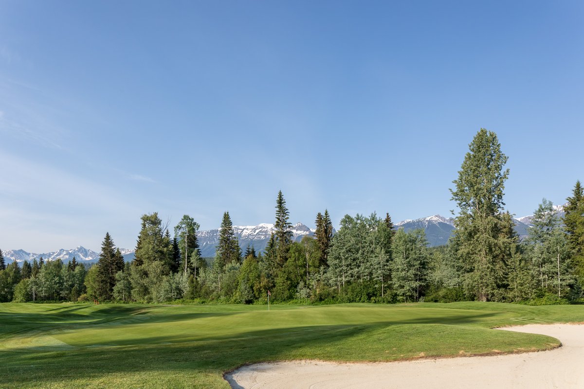 "I read the greens in Spanish, but I putt in English." - Chi Chi Rodriguez

#GolfGolden #GoldenBC