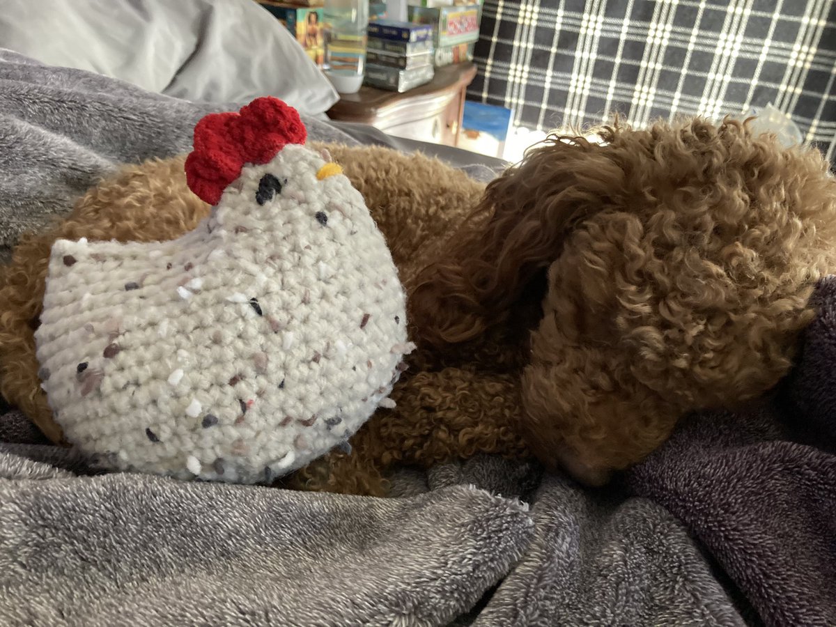 Shakespanderian's tweet photo. @barkbox https://t.co/ukpQMp5VHW