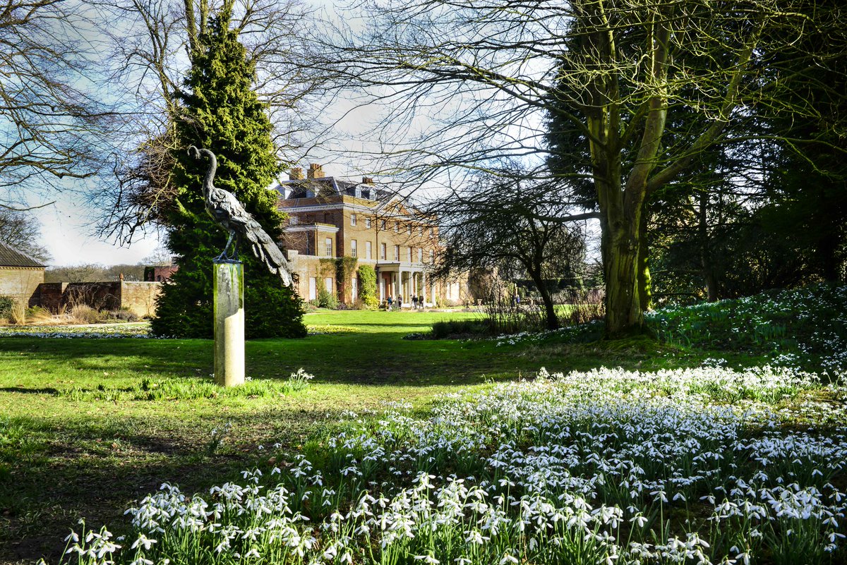 *LIMITED TICKETS* RAVENINGHAM HALL. NR14 6NS. Mon 19th Feb 2-4pm. Just a handful of tickets remain for the exclusive guided walk around the gardens at Raveningham Hall by Sir Nicholas Bacon. Pre-booking only. Tea and cake is included. Full details here findagarden.ngs.org.uk/garden/2085/ra…