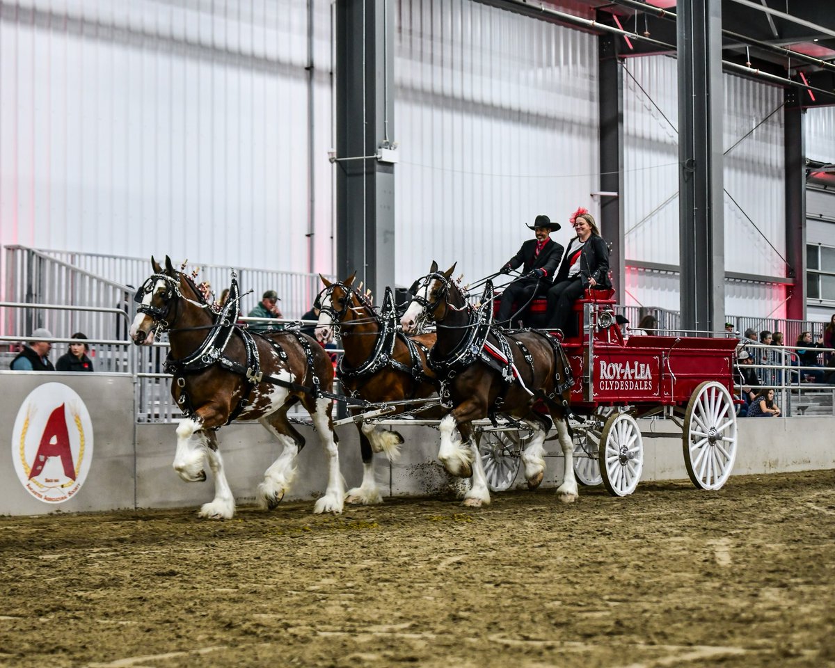 Drew Spoelstra (@drew_spoelstra) on Twitter photo It’s Canada’s agriculture day and it’s so exciting to be part of an industry that’s so important to the lives of everyone across 🇨🇦. Let’s celebrate the opportunity, diversity and challenges that #cdnag offer today and every day. x.com/ontariofarms/s… It’s Canada’s agriculture day and it’s so exciting to be part of an industry that’s so important to the lives of everyone across 🇨🇦. Let’s celebrate the opportunity, diversity and challenges that #cdnag offer today and every day. x.com/ontariofarms/s…