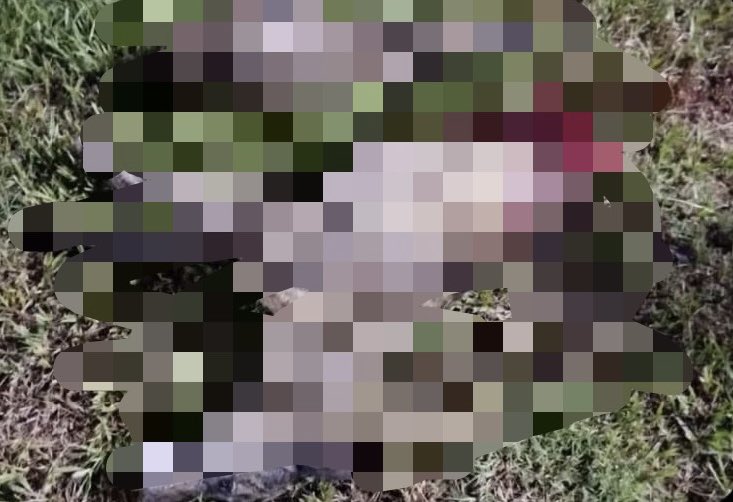 🔴Corrían picadas en motos y atropellaron a un galgo: el perro murió seccionado en la avenida

Ocurrió el viernes pasado en Justiniano Posse, Córdoba, donde, al parecer, nadie controla a los motociclistas. 👈🏼

La Red Solidaria Ambiental formulará una denuncia este miércoles.