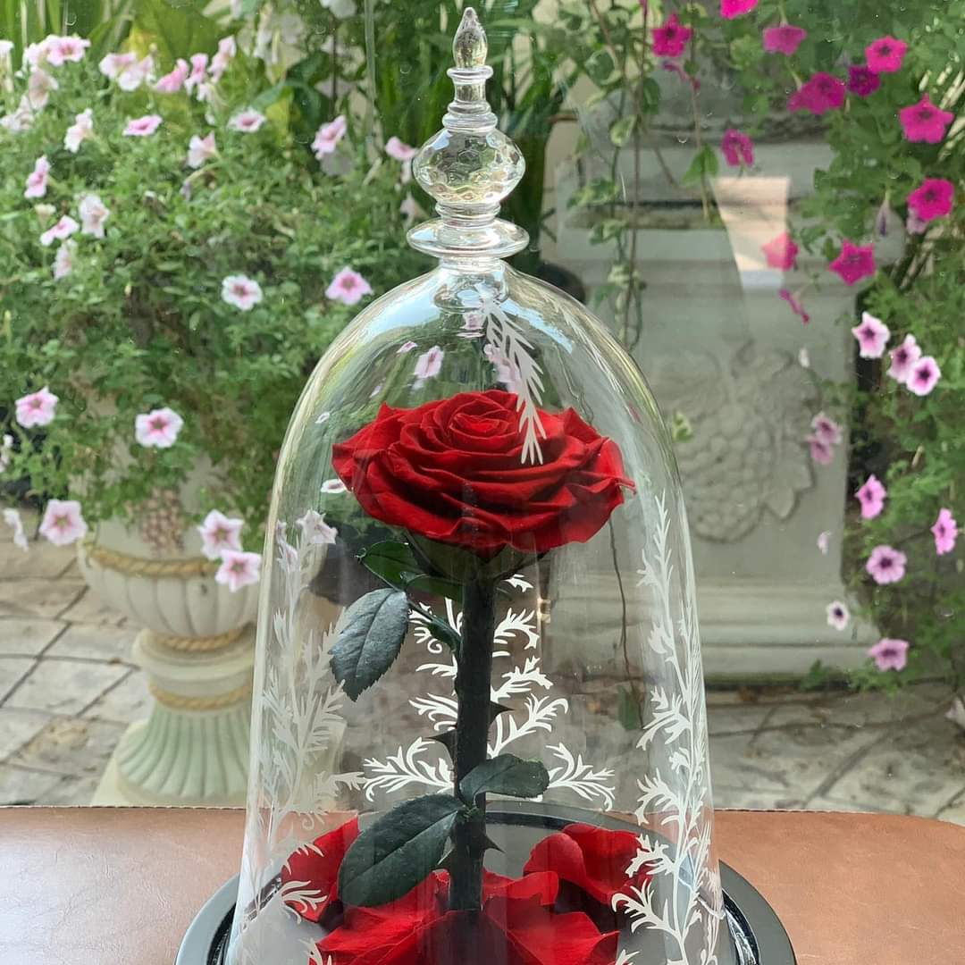 fully_fleur's tweet photo. "#วาเลนไทน์ กี่รอบ ก็ยังชอบเธอคนเดิม ฮิ้วๆ" 👰‍♀️💍🪻
Pre-order for #valentines's Day '2024💝 🍫 Delivering_emotions fresh flowers 24hr. 📞 : 0936954552 LINE : fully-fleur  
IG : @delivering_emotions

💐ミ★🪻🌈 ♡👰‍♀️💍ೃ⁀➷
#fullyfleur #วาเลนไทน์ #99rose #happytime #missyou #Love https://t.co/dKdAmIXUPX