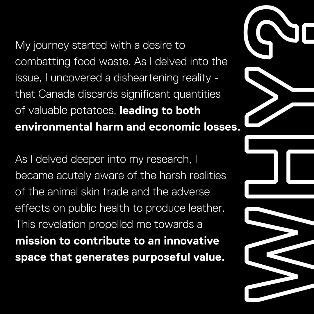 Innovation Boost Zone tweet media