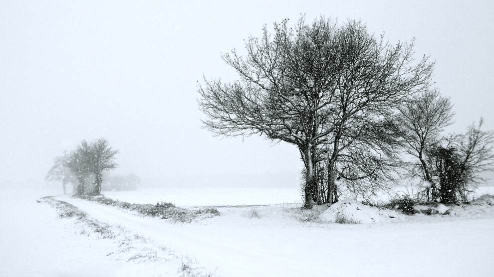 PhotoclicForum's tweet photo. Félicitations à Solcairn co-vainqueur de la semaine 6/2024 sur photoclic https://t.co/c6SuoYrXYh
#paysage #landscape #hiver #neige #winter #blanc #white https://t.co/OSasnFZDqI