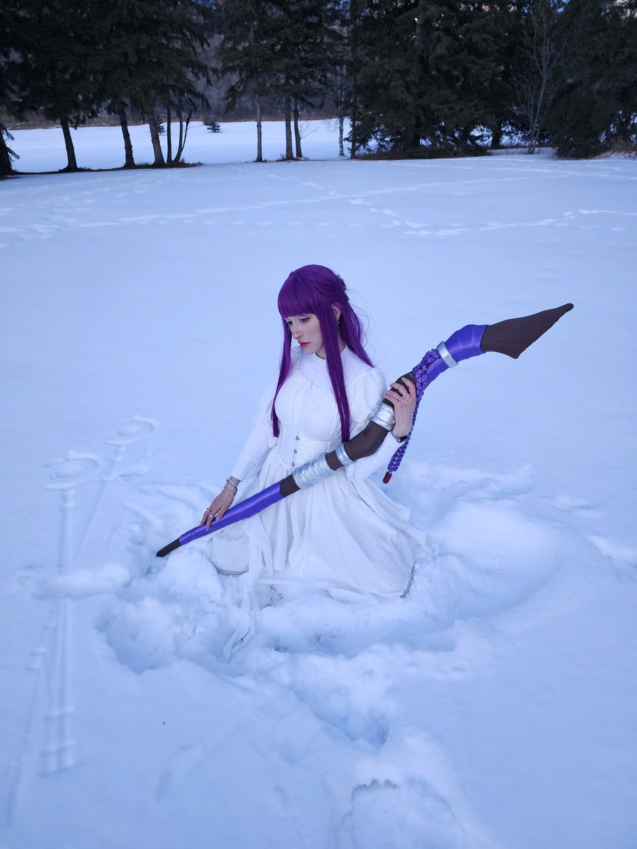 Fern in the snow https://t.co/I2fHmXfRiN