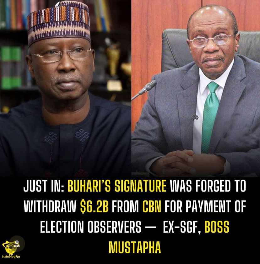 Gprofitz's tweet image. Was it really for Observers or what they actually paid for to elect the government in power now that has turned the country and it's economy upside down.