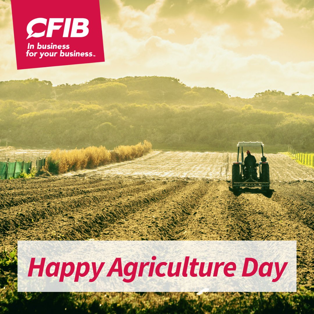Shoutout to #smallbusinesses in #agriculture that work tirelessly to bring fresh produce to our communities. 🌱 🍏🌽 

Supporting local farms not only sustains our daily meals but also strengthens the backbone of our economy.

Happy #AgricultureDay!