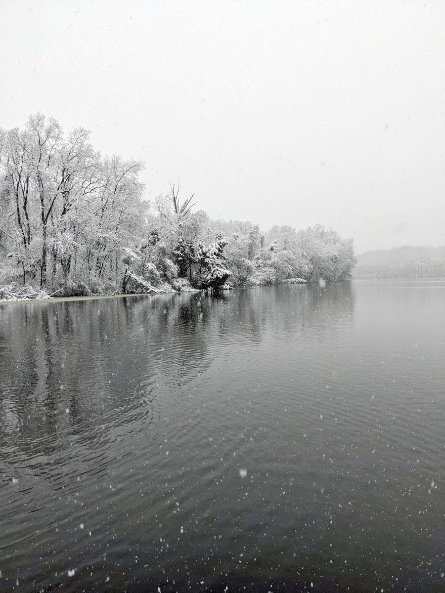 DCNRnews's tweet photo. The snow falling at #GiffordPinchotStatePark this morning looks so peaceful! ❄️ #PaStateparks #PaSnowDays #GetOutdoorsPa #OutdoorsInPa https://t.co/WQzpV7lcKp
