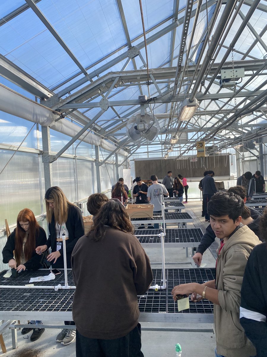 Principles of Ag is working hard in the greenhouse today!!