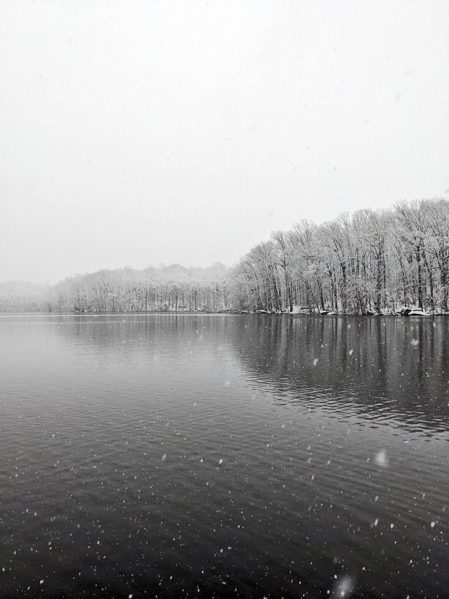 DCNRnews's tweet photo. The snow falling at #GiffordPinchotStatePark this morning looks so peaceful! ❄️ #PaStateparks #PaSnowDays #GetOutdoorsPa #OutdoorsInPa https://t.co/WQzpV7lcKp
