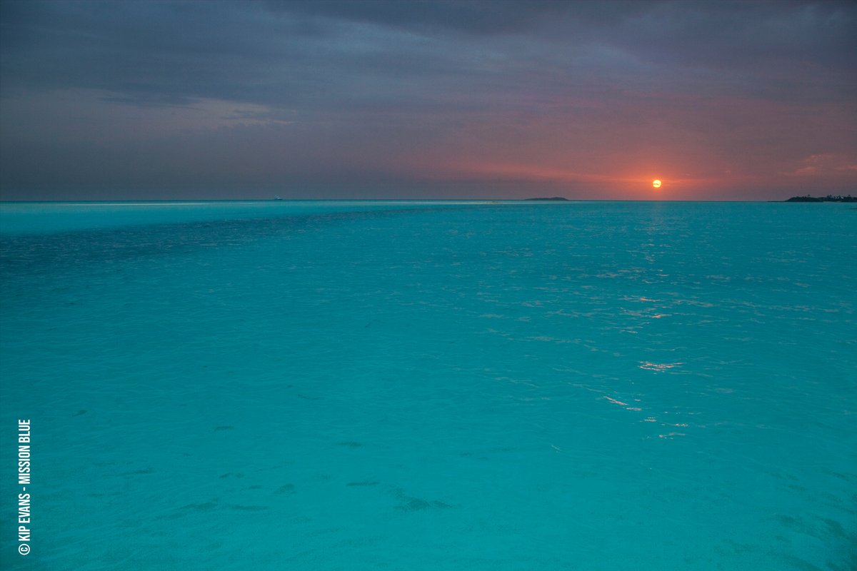 "The ocean needs a good voice, a steady, constant voice that highlights what’s going on and makes it relevant to people." #SylviaEarle

📸Kip Evans / Bahamian Reefs Hope Spot