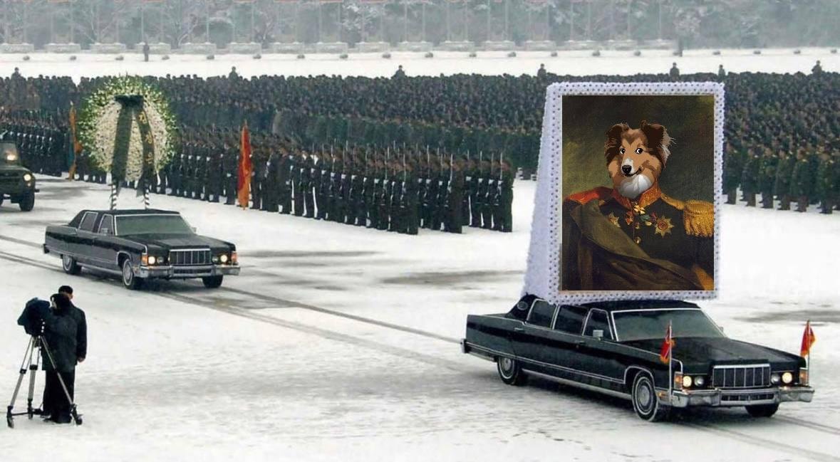 $Lassie about to make history on solana soon!
Woof,woof!