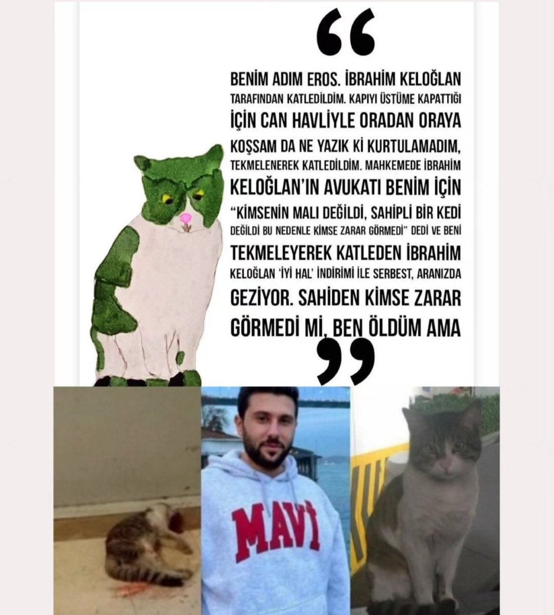 Deestny's tweet photo. Bir kedi diyip geçmeyin nolur, hayvanlar Allah'ın dilsiz kullarıdır. Katiller aramızda! 
#erosiçinadalet
#ibrahimkeloğlantutuklansın https://t.co/lE8uNyc9FH