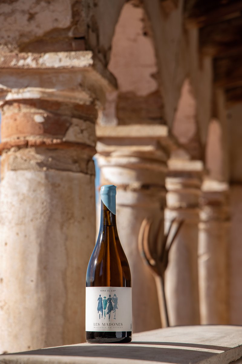VinselCep's tweet image. We 💙 Malvasia.

Ja heu provat el nostre nou vi Les Madones? Veniu-nos a visitar per tastar-lo! 
-
#vinselcep #elaboradorintegral #viticultura #viticulture #vineyard #4heretats #instawine #vin #vine #vino #wine #bubbles #madones #malvasia #malvasiadesitges #sitges