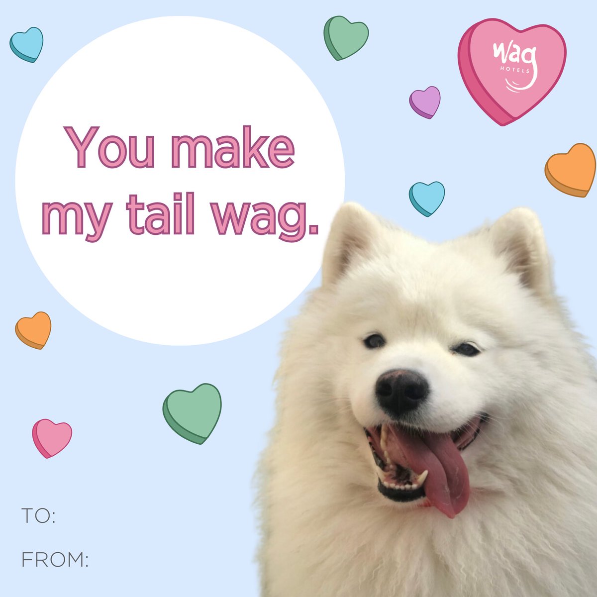 Paw-ssibly the cutest Valentine’s Day cards ever! 💌✨
 
Tag your favorite purrrson and share the love! 😍🐱🐶

#waghotels #onlyatWagHotels #Wag #pethotel #petresort #doggydaycare #ValentinesDay #ValentinesDay2024 #ValentinesDayCards #valentinesdogs #valentinescats #Valentine