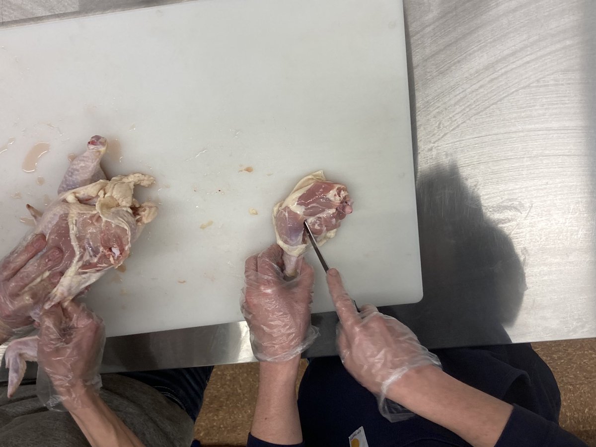 KateBartling's tweet photo. Today was chicken breaking lab in Foods of Animal Origin. Whole chickens were broken into backs, legs, breast cutlets and tenders, wings without the tips and boneless thighs. Students can use these products in their class final.  #IFACadetPride #AdventuresInTeachingAg https://t.co/rmZShXLTfk