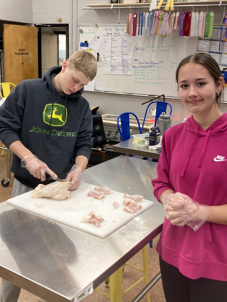 KateBartling's tweet photo. Today was chicken breaking lab in Foods of Animal Origin. Whole chickens were broken into backs, legs, breast cutlets and tenders, wings without the tips and boneless thighs. Students can use these products in their class final.  #IFACadetPride #AdventuresInTeachingAg https://t.co/rmZShXLTfk