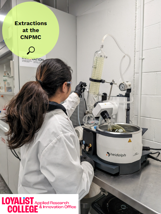 The staff in the CNPMC are busy working to extract key compounds of interest like pigments, oils, vitamins, to terpenes. What would you extract, if you could, to make a new product? Contact us if this would benefit your business! #Extraction #NaturalProducts #AppliedResearch