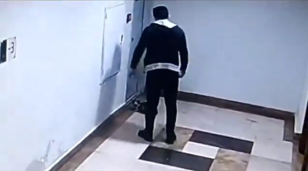 Sosyal medya yani Twitter Adalet Bakanlığı sayesinde gerekli işlemler başlatılacak İNŞALLAHH

Kedi katili İbrahim Keloğlan'a verilen 1 yıl 3 ay hapis cezasının ertelenmesine Küçükçekmece Cumhuriyet Başsavcılığı itiraz etti.
#ibrahimkeloglantutuklansın