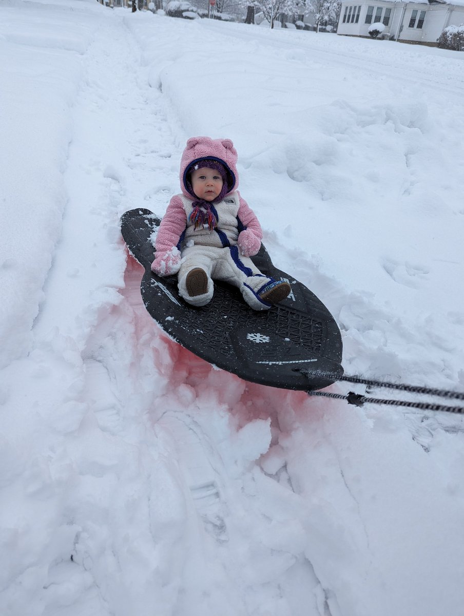 GameDayConor's tweet image. #pullthesled