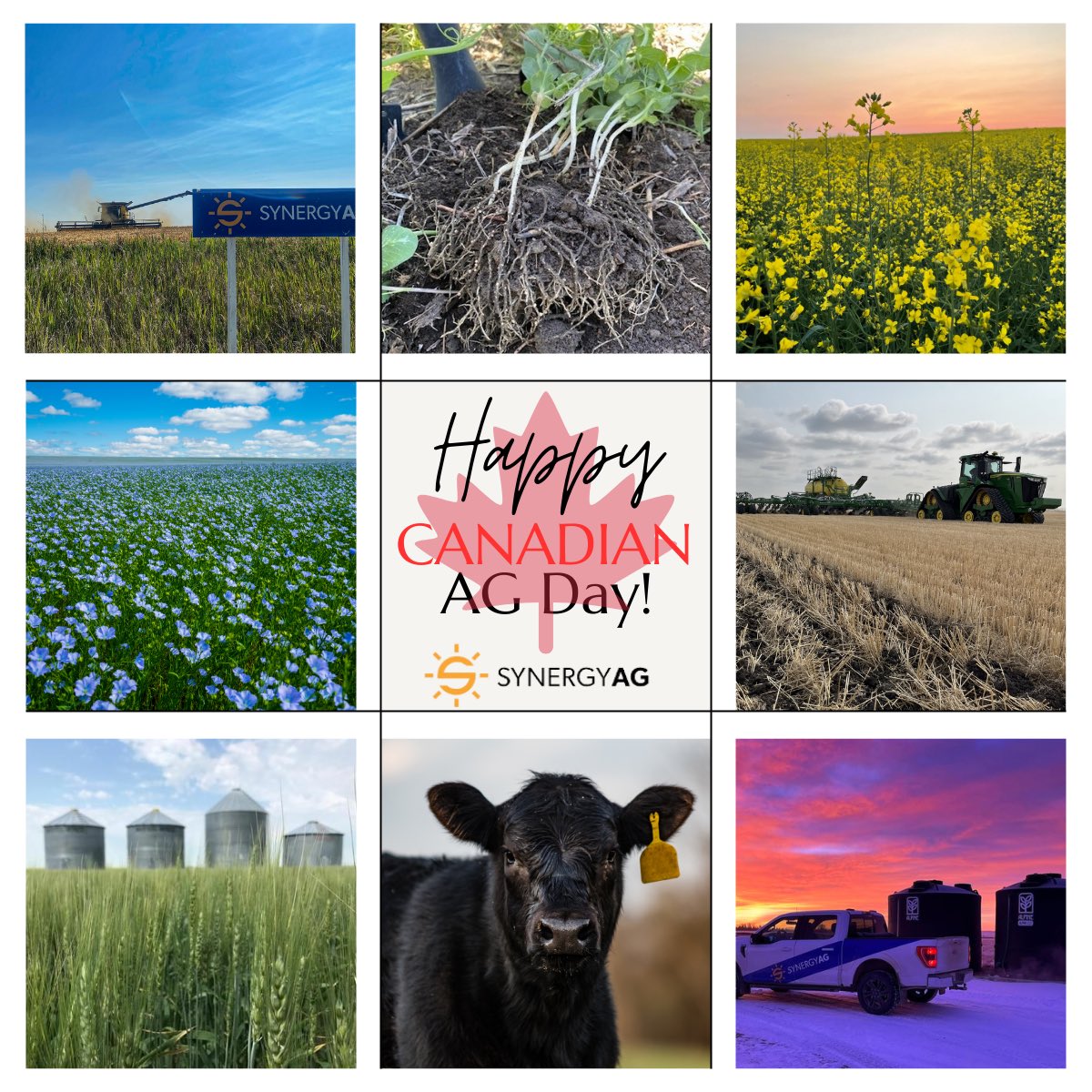 Happy #CdnAgday! 🌱🚜🐮

Raise your forks to the Farmers, Ranchers &amp; Producers involved in 🇨🇦 Agriculture! We are proud to be apart of such a great industry! 
#rootsyoucancounton