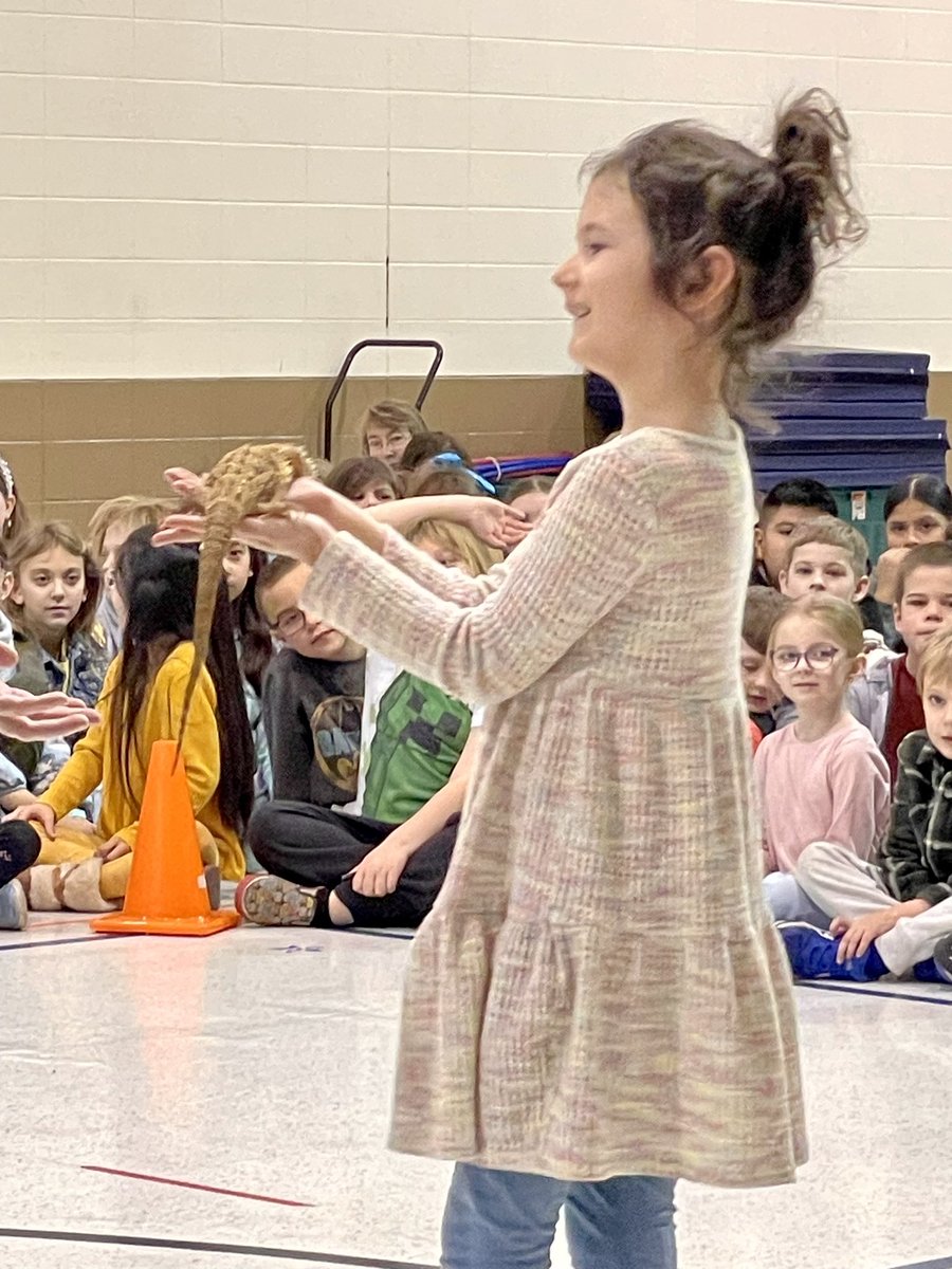 Awesome Reptile Assembly! #ccs118life #DelordosDynamos