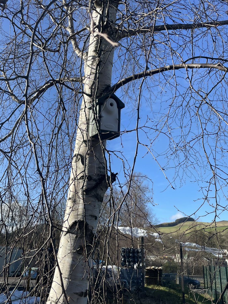 We took advantage of the early spring sunshine today and took a break from the desk to put up bird and bat boxes as part of a mitigation/enhancement scheme on behalf of our client. 

#birdbox #batbox #ecology #nestingbirds #roostingbats #scottishborders
