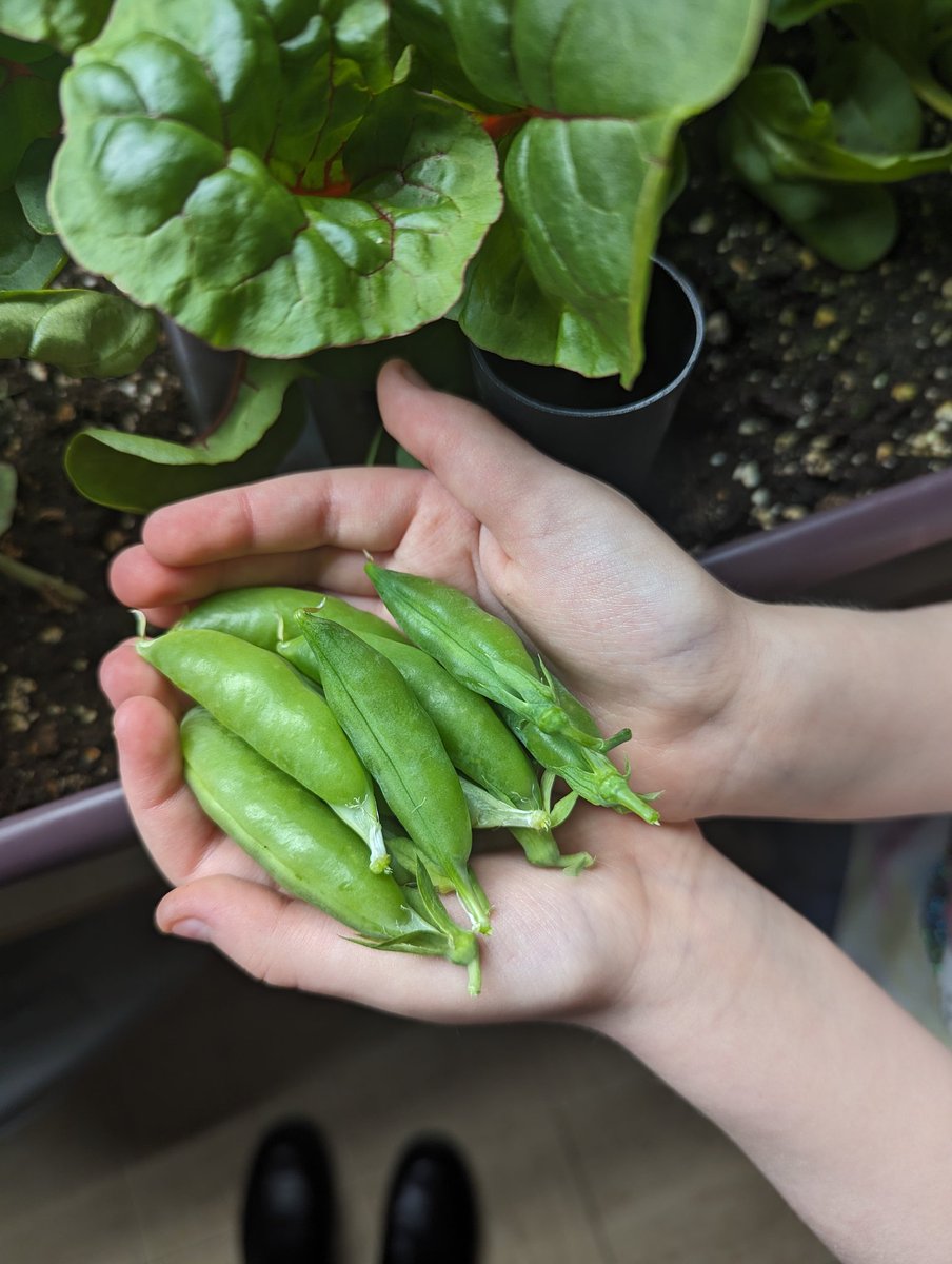 Ashley Fitzgerald tweet media