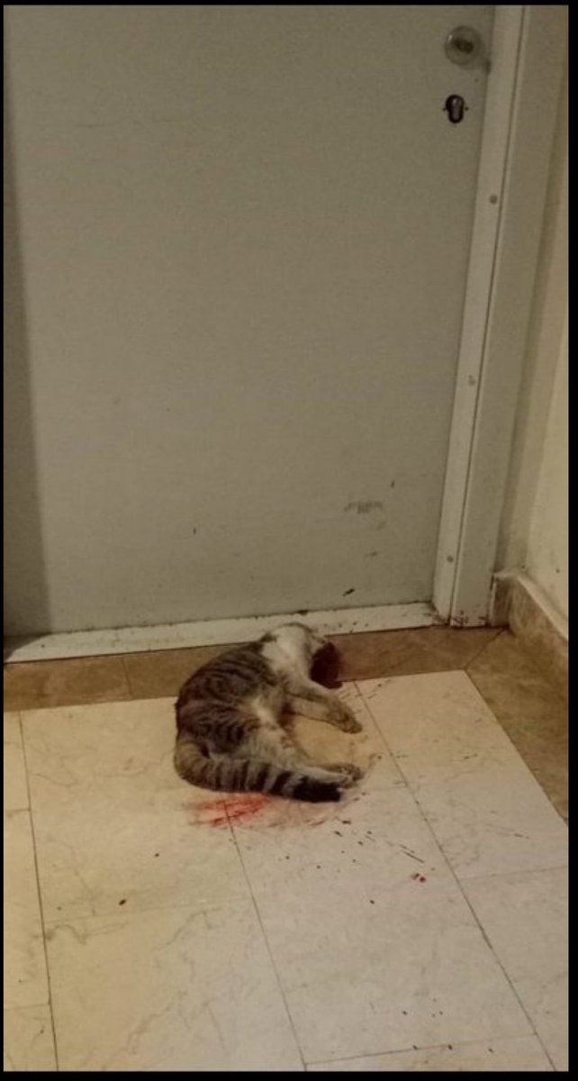 iyi uykular eros affetme seni unutanları  #ibrahimkeloglantutuklansın