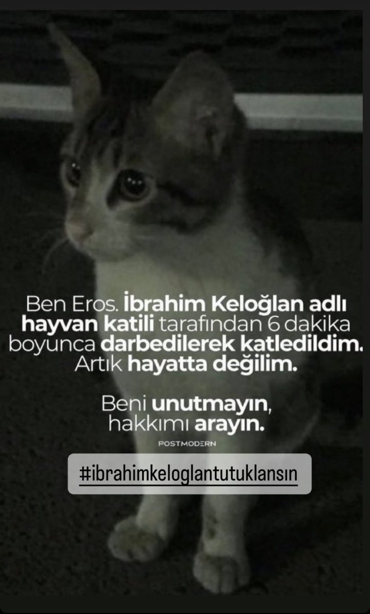 devinicon's tweet photo. Katilin Adı: 
İBRAHİM KELOĞLAN 

Katili koruyanın Adı:
Türkiye'nin yeni adalet sistemi

#ibrahimkeloglantutuklansın https://t.co/NQ1eijE2Ol