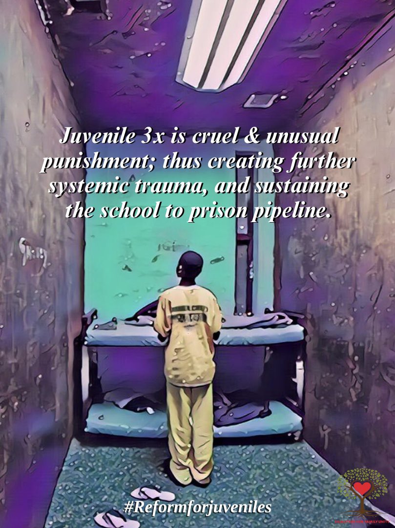 This approach not only fails to consider the maturation and growth that can occur over time but also perpetuates the cycle of harsh sentencing that has proven to do more harm than good.