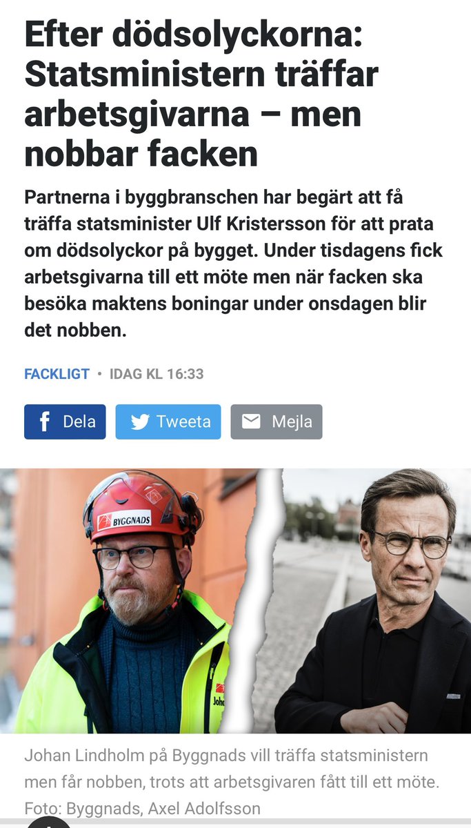 Teresa Carvalho tweet media