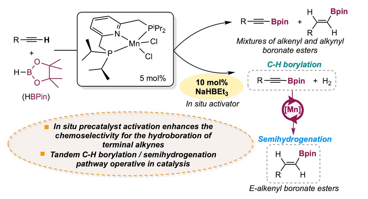 A new day, a new paper is out! Congrats @Duran_Arr for the amazing work on Mn catalyzed hydroboration of alkynes! pubs.rsc.org/en/content/art…. Challenging compounds, but nothing Victor cannot handle 😉