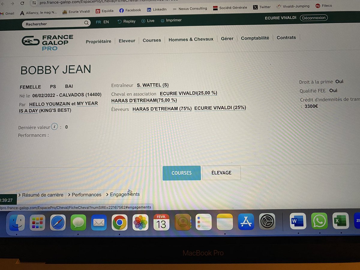 Ecurie Vivaldi tweet media