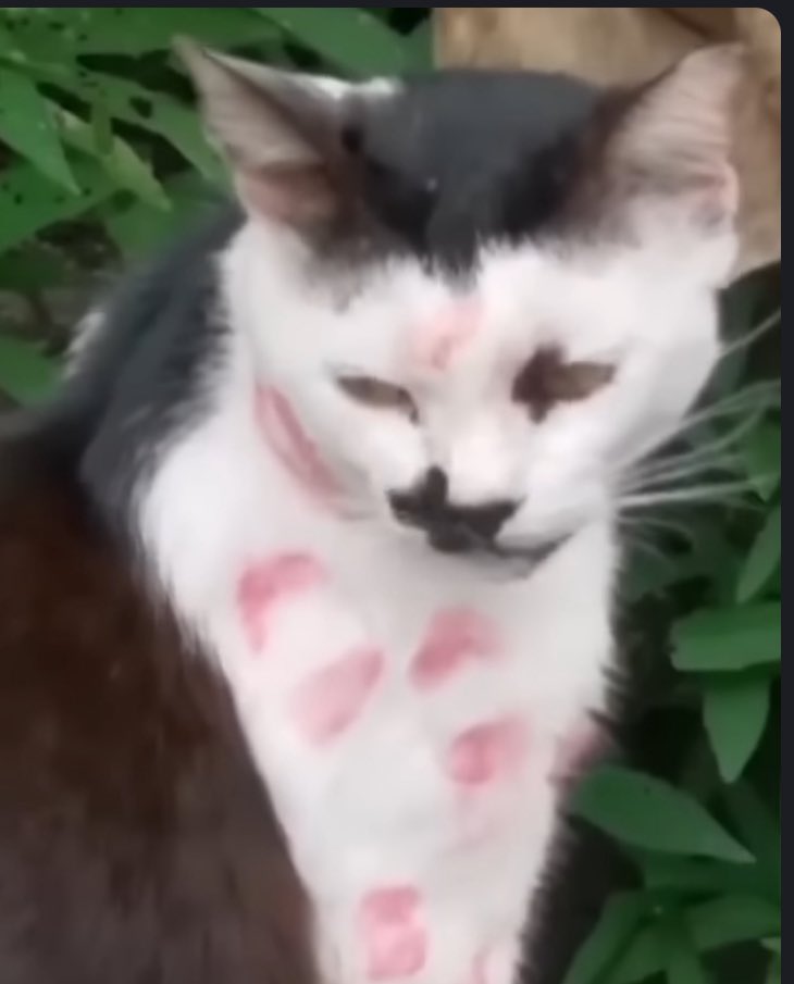 ErusDearest's tweet image. Octane after I get ahold of him.