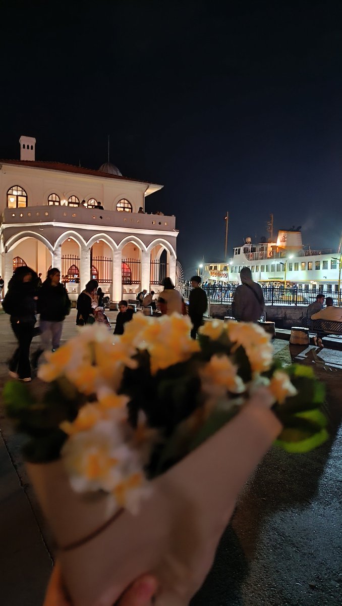 Hi guys🌼 I'm crypto lover but also İstanbul lover.. Can anyone guess where this photo is from?