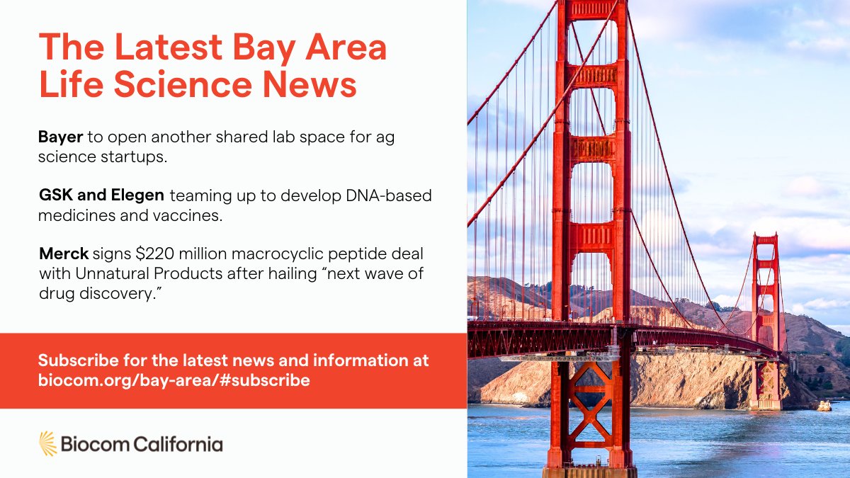 Biocom's tweet photo. Did you catch this month’s Bay Area Newsletter? Learn more about @GileadSciences’s $320M investment in @arcusbio, register for our roundtable with @CityofSSF’s Mayor and Vice Mayor, and more. Read the full edition: https://t.co/lWg2Jl6nnZ https://t.co/bftEDsiOvH