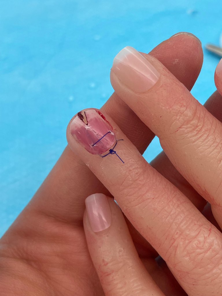 PEM Fellowship Program tweet media