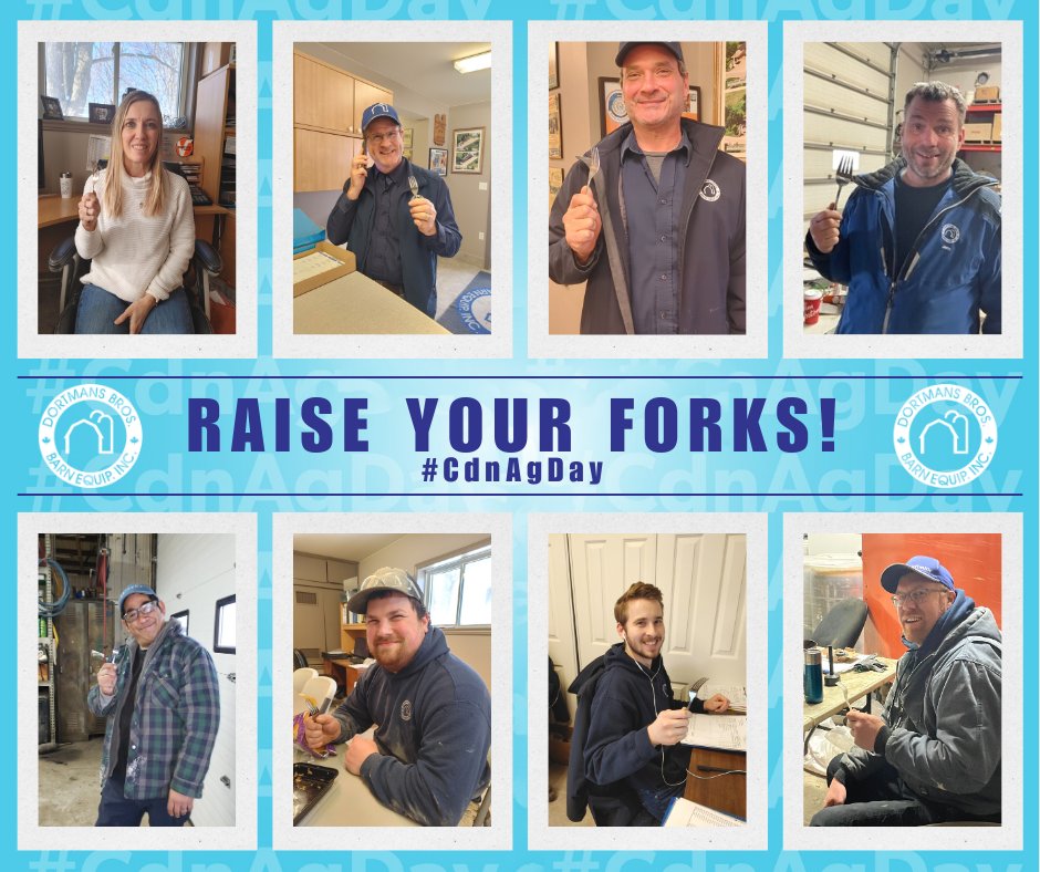 DortmansBros. tweet media