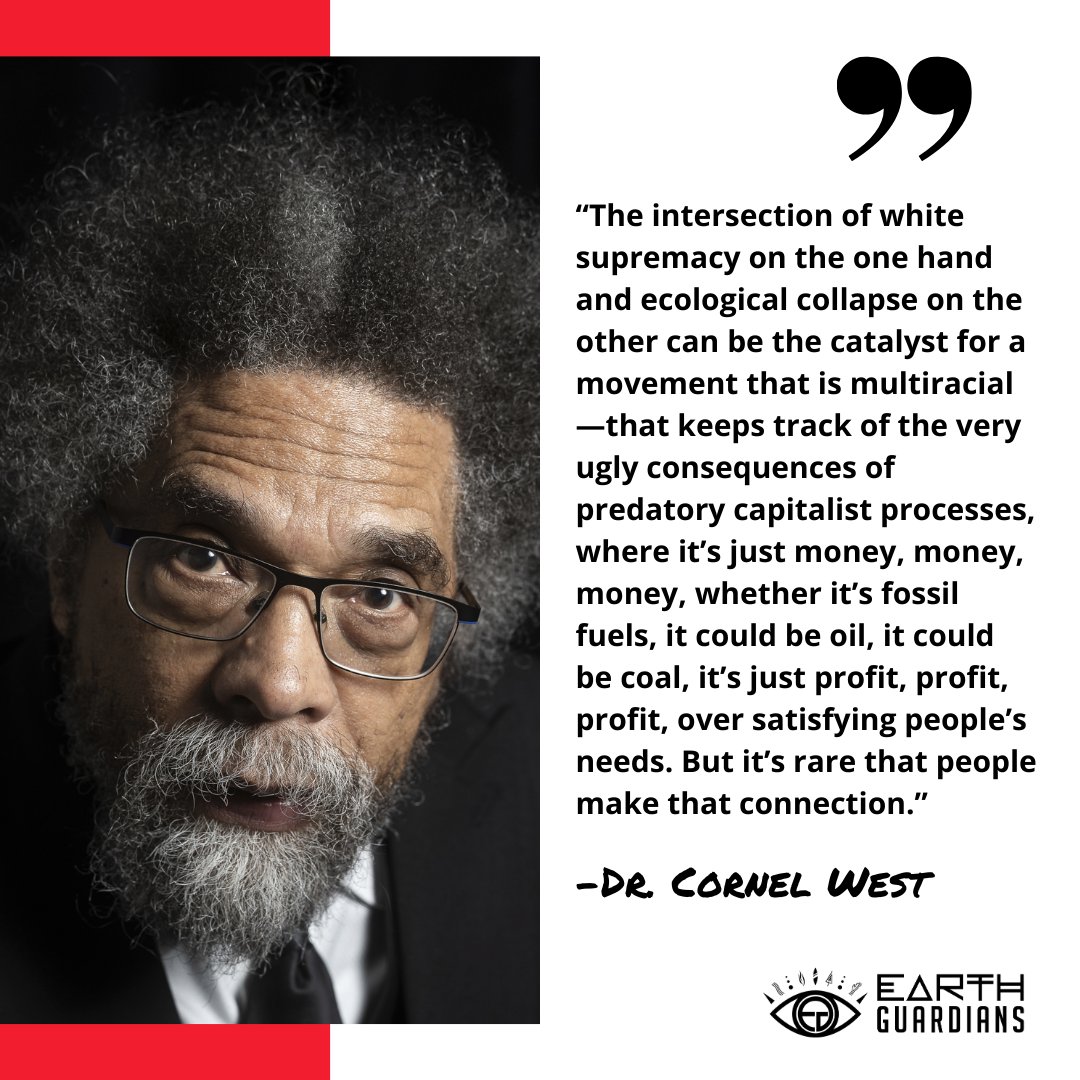 Dr. Cornel West Is Running to Become President of the United States. What Are His Views on Climate Change and the Environment? Source: insideclimatenews.org/news/05022024/… #EarthGuardians #GreenBlackHistory