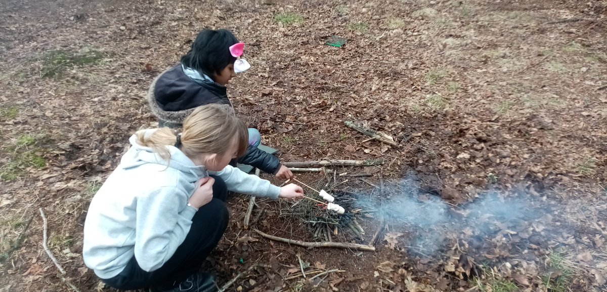 SaferstreetsYP's tweet photo. Certificates of Achievement were awarded today for the young people completing their programme of Bushcraft Skills & Mindfulness in nature #FabFebFun @FalkHSCommunity @carmuirsprimary @Thillhub New Fire lighting skills with natural materials today and tree tig @TNLComFundScot https://t.co/2nKH481GsS