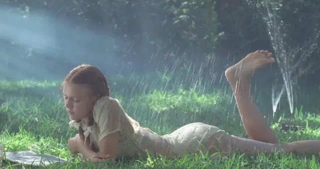 Lolita, light of my life, fire of my loins. My sin, my soul.
想看生命之光欲念之火
