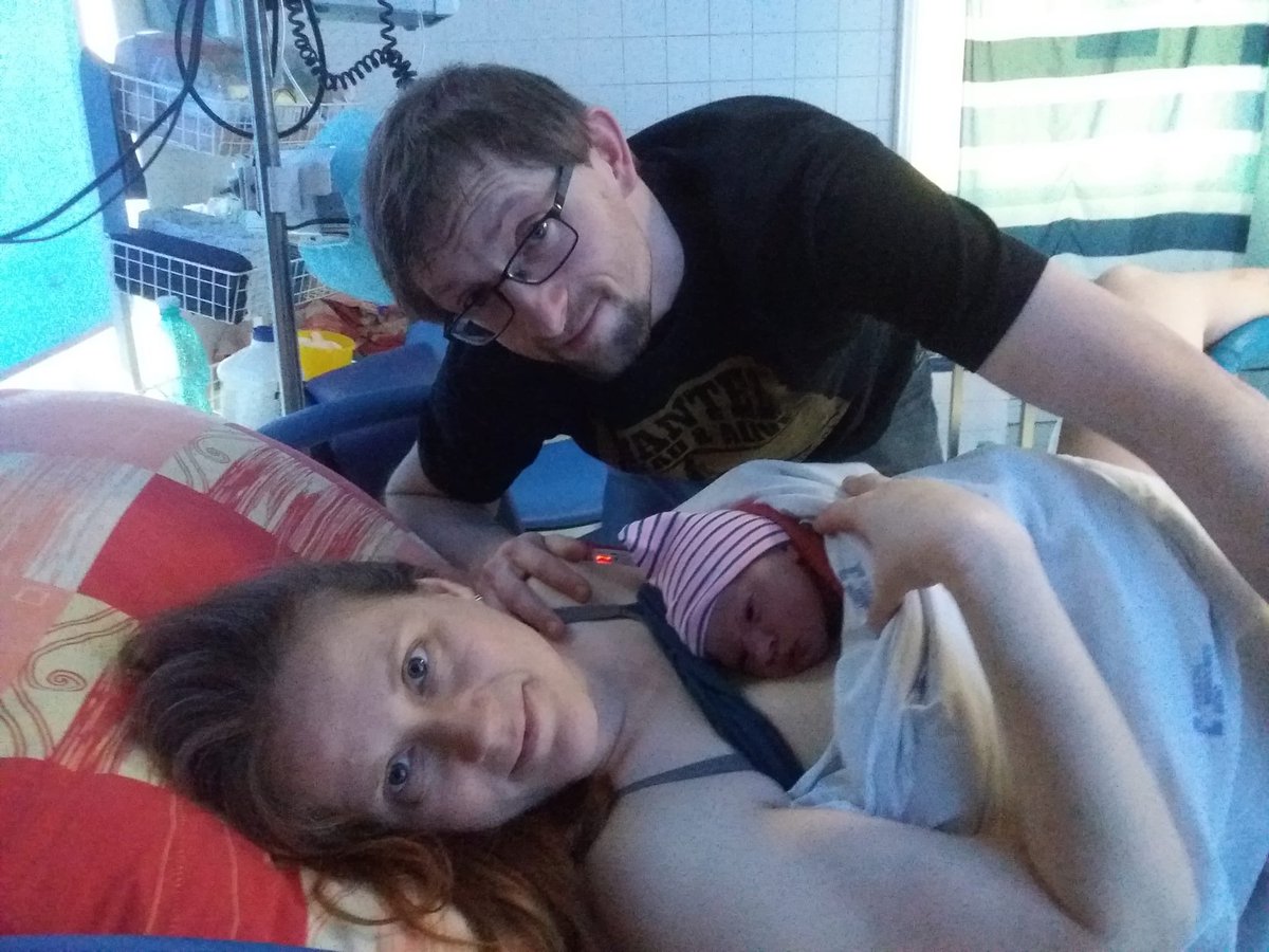 Mr. Honcn Gulls tweet media