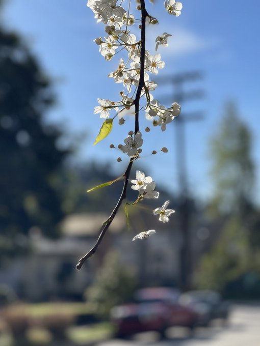 &hellip;, I know that&rsquo;s not pictures what u are expecting from me. UT I liked it so much, so I needed to share<a href="/tag/spring"class="tags"><span>#spring</span></a>