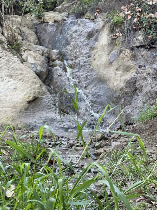 &hellip;, I know that&rsquo;s not pictures what u are expecting from me. UT I liked it so much, so I needed to share<a href="/tag/spring"class="tags"><span>#spring</span></a>